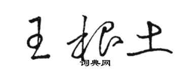 駱恆光王根土草書個性簽名怎么寫