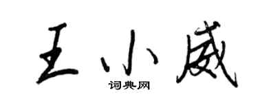 王正良王小威行書個性簽名怎么寫