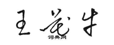 駱恆光王花牛草書個性簽名怎么寫