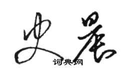 駱恆光史晨草書個性簽名怎么寫