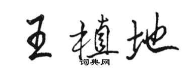 駱恆光王植地行書個性簽名怎么寫