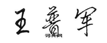 駱恆光王普軍行書個性簽名怎么寫