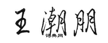 駱恆光王潮朋行書個性簽名怎么寫