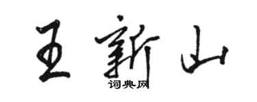 駱恆光王新山行書個性簽名怎么寫