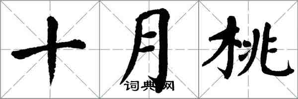 翁闓運十月桃楷書怎么寫