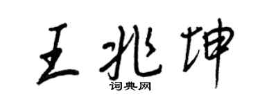 王正良王兆坤行書個性簽名怎么寫