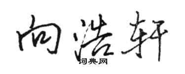 駱恆光向浩軒行書個性簽名怎么寫