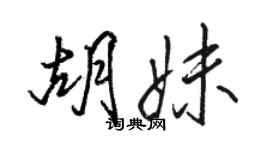 駱恆光胡妹行書個性簽名怎么寫