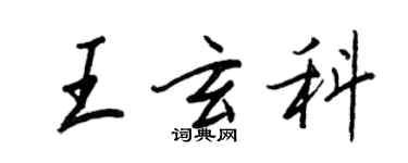 王正良王玄科行書個性簽名怎么寫