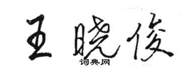 駱恆光王曉俊行書個性簽名怎么寫