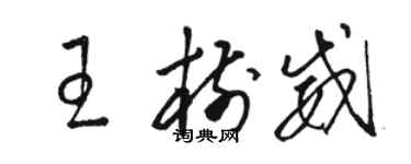 駱恆光王樹威草書個性簽名怎么寫