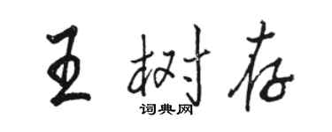 駱恆光王樹存行書個性簽名怎么寫