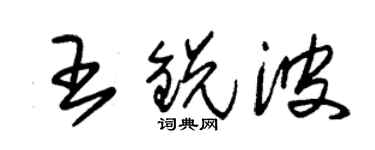 朱錫榮王銳波草書個性簽名怎么寫