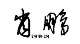朱錫榮肖鵬草書個性簽名怎么寫