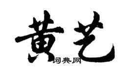 胡問遂黃藝行書個性簽名怎么寫