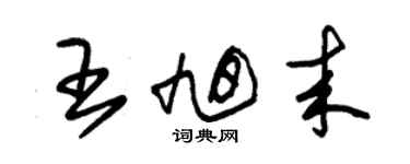 朱錫榮王旭來草書個性簽名怎么寫