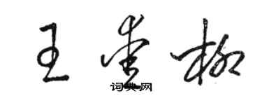 駱恆光王愛柳草書個性簽名怎么寫