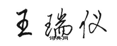 駱恆光王瑞儀行書個性簽名怎么寫