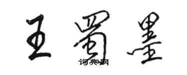 駱恆光王蜀墨行書個性簽名怎么寫