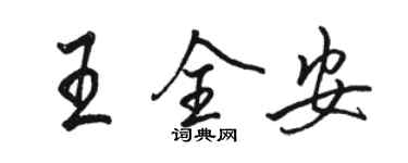 駱恆光王全安行書個性簽名怎么寫