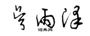 曾慶福吳雨澤草書個性簽名怎么寫