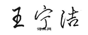 駱恆光王寧潔行書個性簽名怎么寫