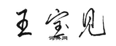 駱恆光王寶見行書個性簽名怎么寫