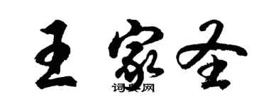 胡問遂王家聖行書個性簽名怎么寫