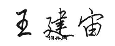 駱恆光王建宙行書個性簽名怎么寫