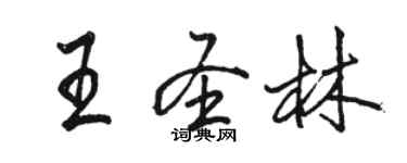 駱恆光王聖林行書個性簽名怎么寫