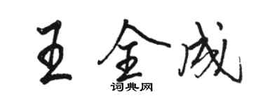 駱恆光王全成行書個性簽名怎么寫