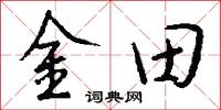 金田怎么寫好看