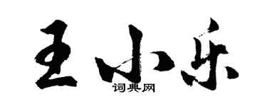 胡問遂王小樂行書個性簽名怎么寫