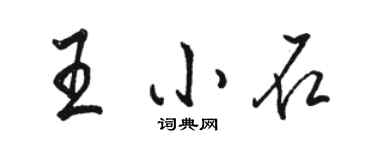 駱恆光王小石行書個性簽名怎么寫