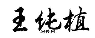 胡問遂王純植行書個性簽名怎么寫