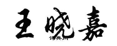 胡問遂王曉嘉行書個性簽名怎么寫