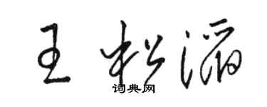 駱恆光王松滔草書個性簽名怎么寫