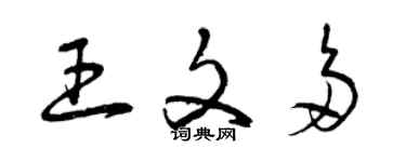 曾慶福王文多草書個性簽名怎么寫