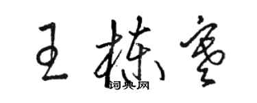 駱恆光王棟寒草書個性簽名怎么寫