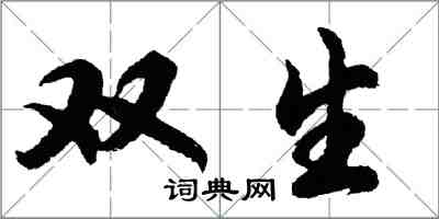 胡問遂雙生行書怎么寫