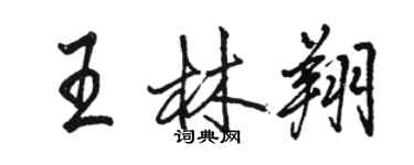 駱恆光王林翔行書個性簽名怎么寫