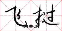 飛撾怎么寫好看