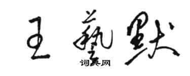 駱恆光王藝默草書個性簽名怎么寫