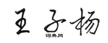駱恆光王子楊行書個性簽名怎么寫