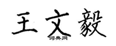 何伯昌王文毅楷書個性簽名怎么寫