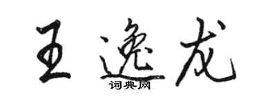 駱恆光王逸龍行書個性簽名怎么寫