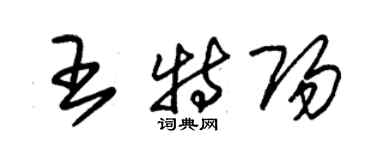 朱錫榮王特陽草書個性簽名怎么寫