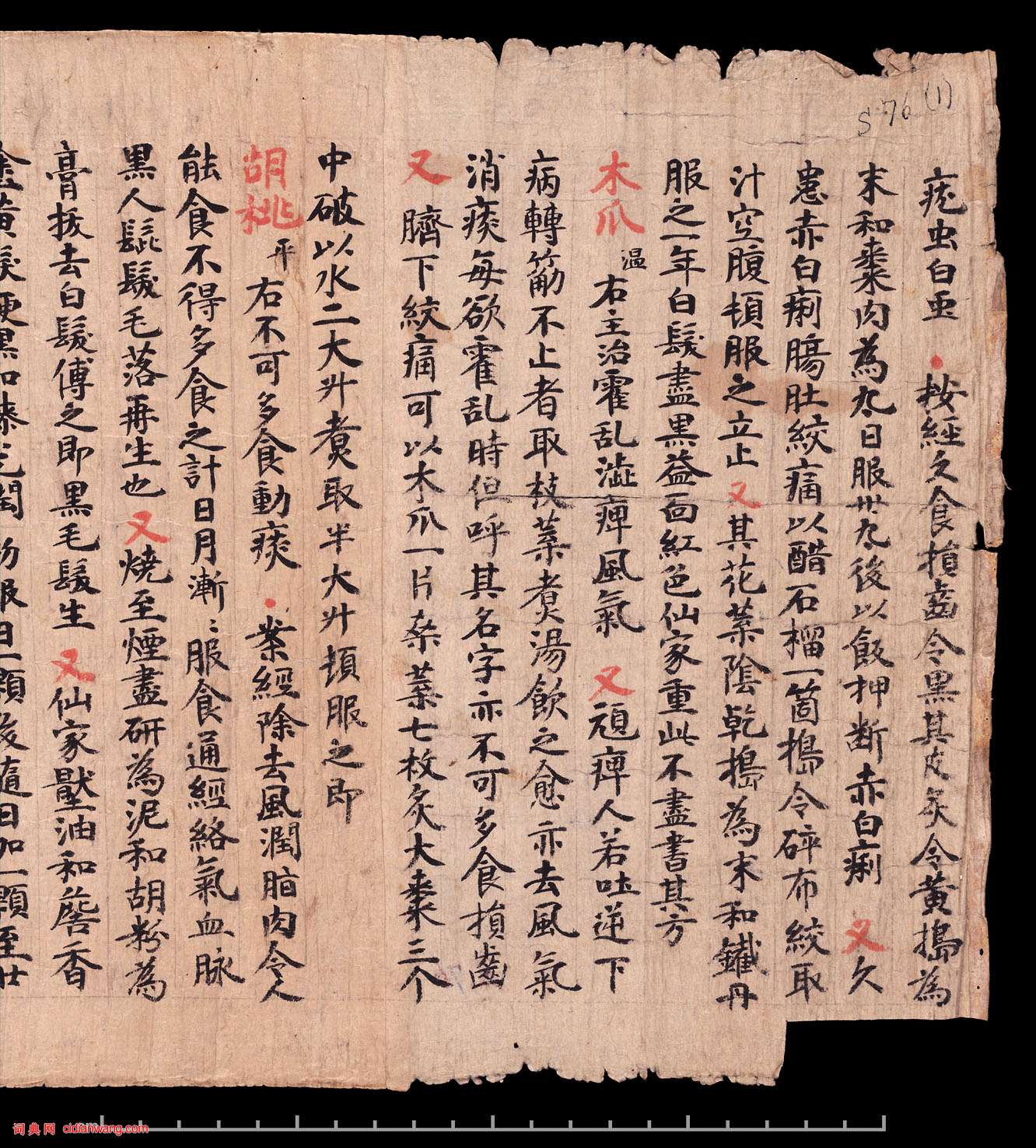 敦煌《食療本草》殘卷