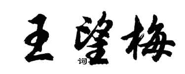 胡問遂王望梅行書個性簽名怎么寫