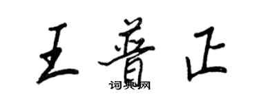 王正良王普正行書個性簽名怎么寫